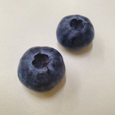 Силиконовая форма для мыла Голубика (10 ягод в форме)