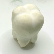 Силиконовая форма для мыла зуб