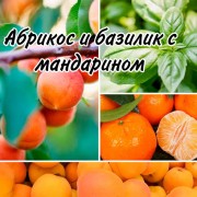 Отдушка абрикос и базилик с мандарином